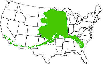 Alaska Over U.S.